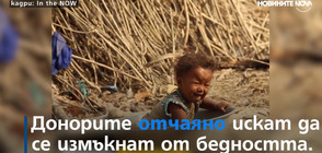 ЧЕРЕН ПАЗАР НА ОРГАНИ: Да продаваш бъбреците си, за да оцелееш (ВИДЕО)