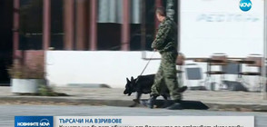 Кучета ще бъдат обучени от военните да откриват eксплозиви (ВИДЕО)