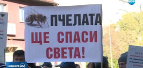 ПЧЕЛАРИ НА ПРОТЕСТ: Искат помощ от държавата, за да остане български мед