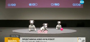 Представиха ново куче-робот