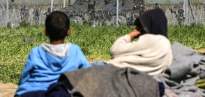 575 мигранти са заловени при опит да преминат в България и Гърция