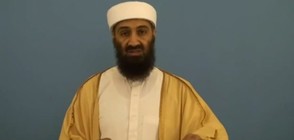 Осама бин Ладен пазил обучителни видеа за плетене на една кука