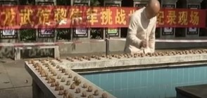 Китаец постави рекорд за бързо чупене на орехи (ВИДЕО)
