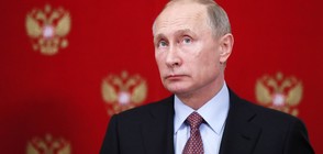 Путин: Не скачам във вода от над 7 метра