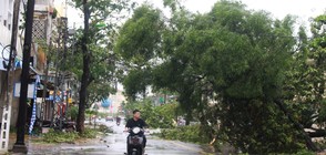 Десетки жертви и поражения във Виетнам и Малайзия след тайфуна "Дамрей"
