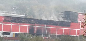 Щети за стотици хиляди след пожара край Велико Търново (ВИДЕО)