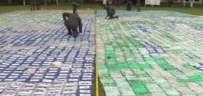 Колумбия залови 12 тона кокаин за стотици милиони (ВИДЕО)