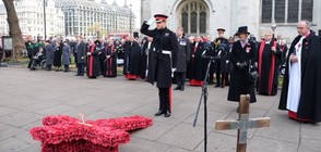 Принц Хари отново в униформа – отдаде почит на загинали войници (ВИДЕО+СНИМКИ)