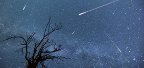 ВИЖТЕ ЛЕОНИДИТЕ: Очакват ни до 20 падащи звезди в час (ВИДЕО)