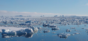 Учени от НАСА обясниха загадъчно топене на антарктически ледове