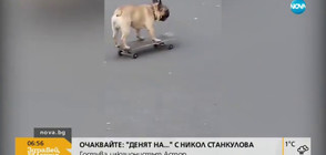 Куче кара скейтборд (ВИДЕО)