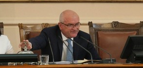 БСП искат сваляне на парламентарния шеф