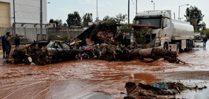 Има ли опасност циклонът "Евридика" да удари България?