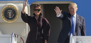 Продадоха на търг парче торта от сватбата на Тръмп и Мелания (ВИДЕО+СНИМКА)