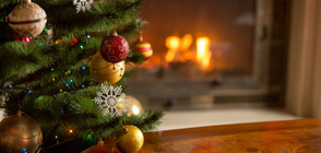 Защо е добре да пръскаме коледната елха с… лак за коса?