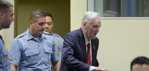Доживотен затвор за "Касапина от Босна" Ратко Младич