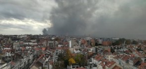 Токсични вещества в атмосферата след пожар в Брюксел (ВИДЕО+СНИМКА)