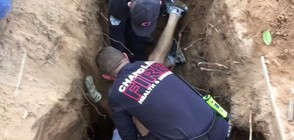 Пожарникари спасиха куче, заклещено в дупка на костенурка (ВИДЕО)