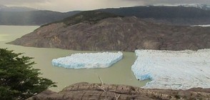 Голям айсберг се отчупи от ледника Грей (ВИДЕО)