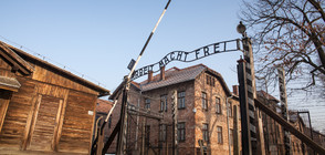 “Счетоводителят на Аушвиц” влиза в затвора