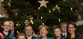 Меркел посрещна коледни дръвчета за канцлерството в Берлин (ВИДЕО)
