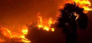 Голям пожар бушува в Южна Калифорния (ВИДЕО)