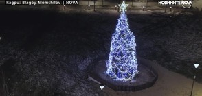 Запалват светлините на коледната елха в София