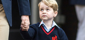 Може ли принц Джордж да стане мишена на терористи?