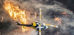 Пожарите в Калифорния застрашават имотите на Джей Ло и Шварценегер (ВИДЕО)