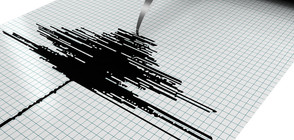 Земетресение с магнитуд 4,6 по Рихтер близо до Асеновград