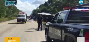 Автобус с туристи се преобърна в Мексико, 11 души загинаха (ВИДЕО)