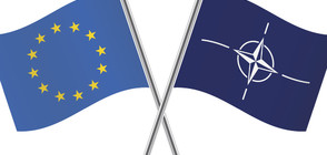 „Галъп”: ЕС и НАТО възстановяват авторитета си в обществените очи
