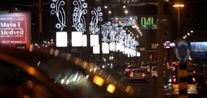 Елха за 83 000 евро възмути жителите на Белград (ВИДЕО)