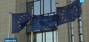 ВМРО са против ратифициране на конвенция на Съвета на Европа