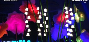 Неонови цветя пръскаха аромати на фестивал (ВИДЕО)