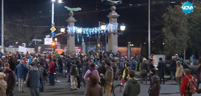 ЗАРАДИ ПАРК "ПИРИН": Екозащитници готвят нови протести