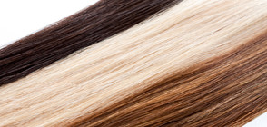 Наистина ли мъжете си падат повече по блондинките?