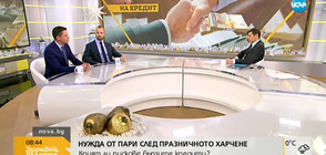 Крият ли рискове бързите кредити? (ВИДЕО)