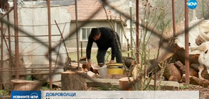 ДОБРОВОЛЦИ: Млади хора помагат на самотни възрастни в Северозападна България