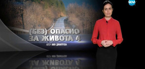 Темата на NOVA: Кои са най-смъртоносните маневри на шофьорите?