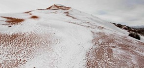 Зачестилите снеговалежи в Сахара свидетелстват за глобално затопляне (ВИДЕО+СНИМКИ)