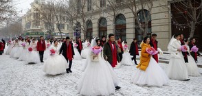 МРАЗОВИТА СВАТБА: Десетки двойки се венчаха на леден фестивал (СНИМКИ)