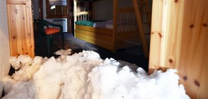 Силен снеговалеж блокира туристи в Алпите (ВИДЕО+СНИМКИ)