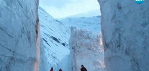 ВПЕЧАТЛЯВАЩО: Спасители прокопаха път през 7-метров сняг, за да стигнат до село (ВИДЕО)