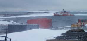 Германия ще изгражда "космическа" оранжерия в Антарктида