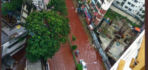Улиците на Дака плувнаха в кръв заради религиозен ритуал (ВИДЕО+СНИМКИ)