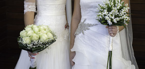 Съдът отхвърли жалба за признаване на еднополов брак в България