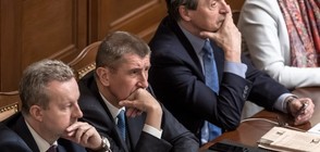 Правителството на "чешкия Тръмп" не получи вот на доверие