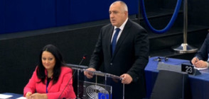 Борисов пред ЕП: България има 4 приоритета за председателството (ВИДЕО+СНИМКИ)