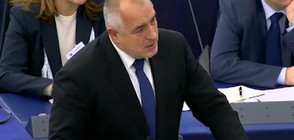 Борисов пред ЕП: Карал съм министри лично да пренасят блатни кокичета (ВИДЕО)